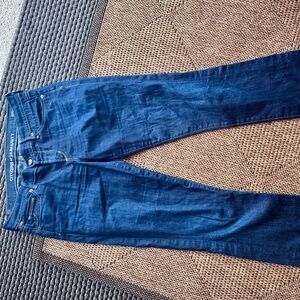 Citizens of Humanity Ava Low Rise Straight Leg Jeans (Size 28)